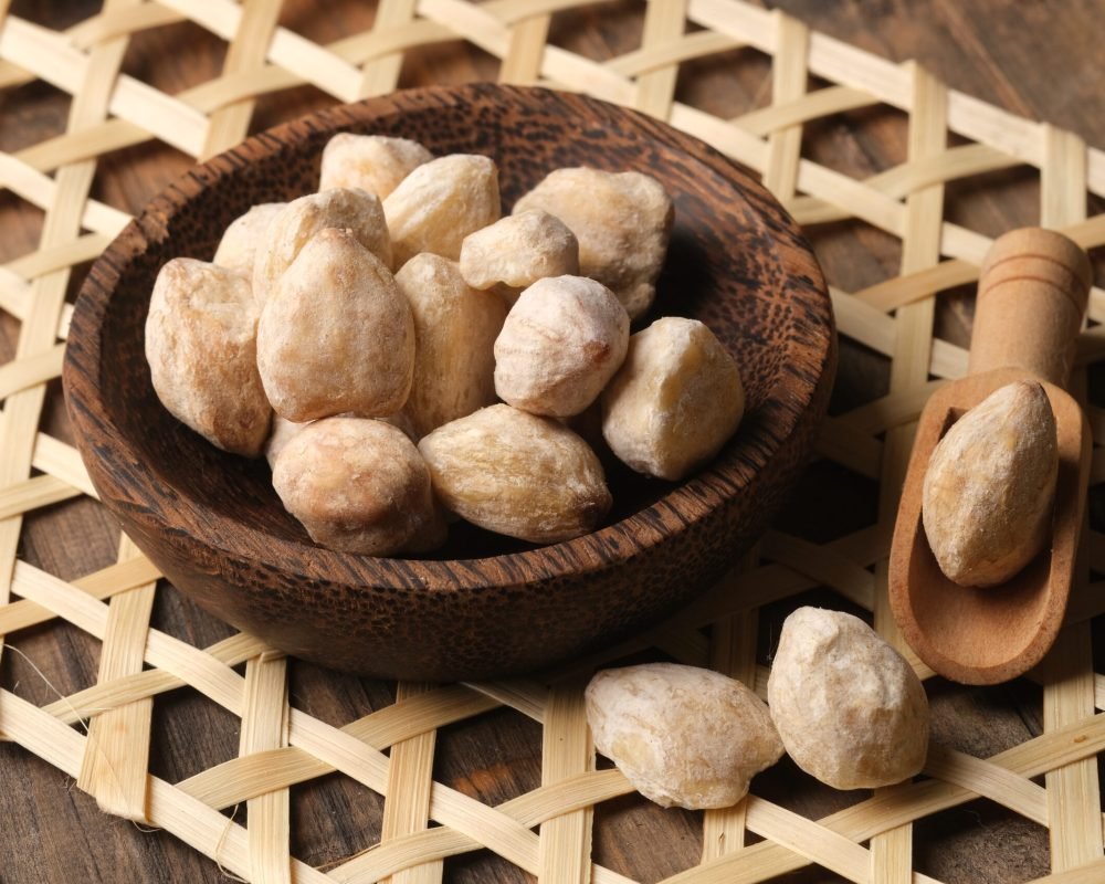Premium Quality Candlenuts from Indonesia